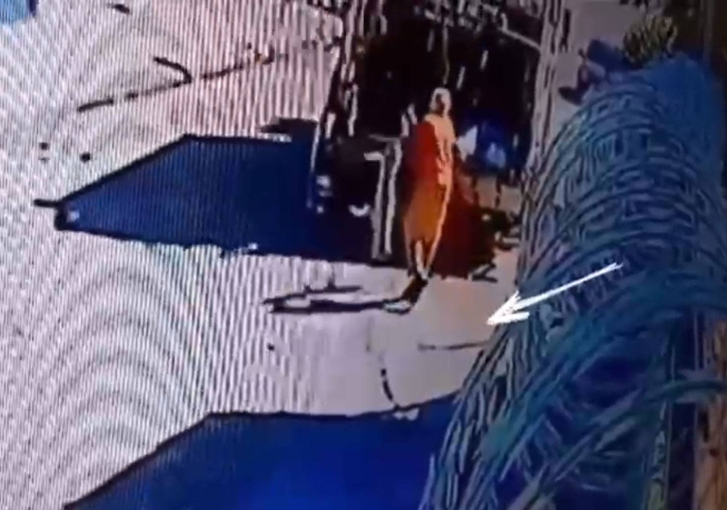 Caminhão de limpeza passa por cima de cachorro e trabalhador joga no compactador ainda vivo